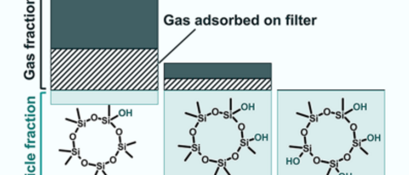 Siloxanol partitioning in New York City, summer 2022