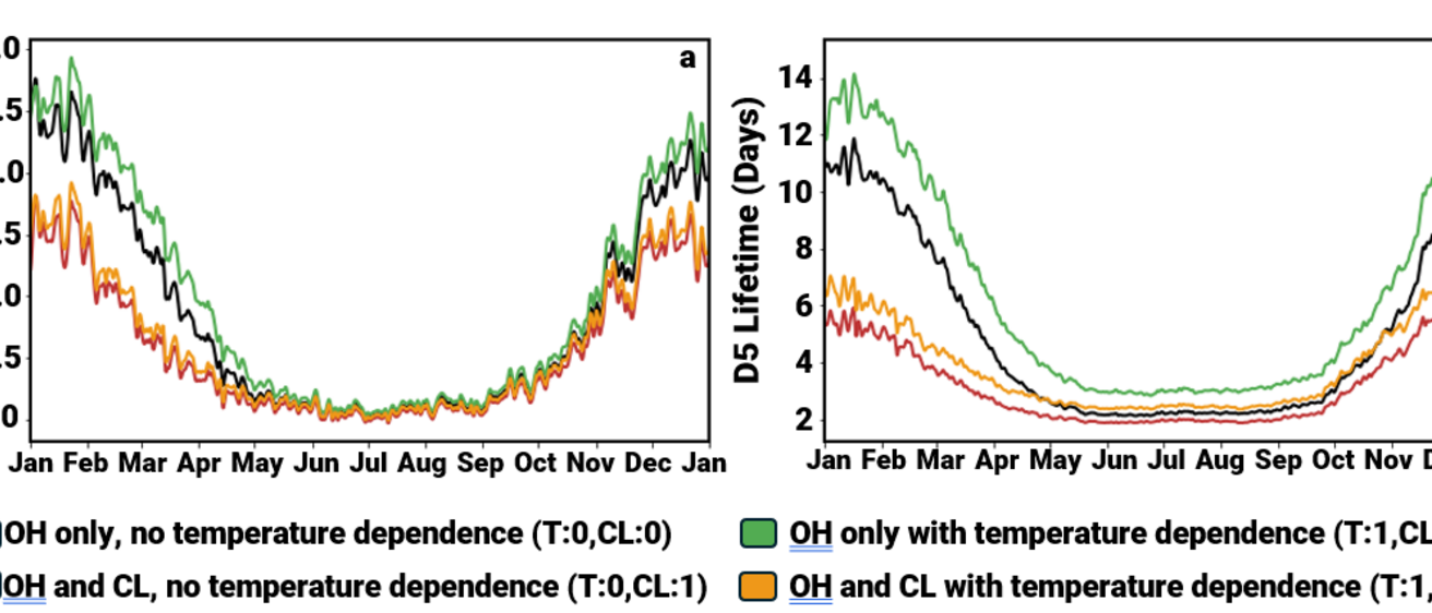 A graph showing the concentration and lifetime of D5 in the four model variants