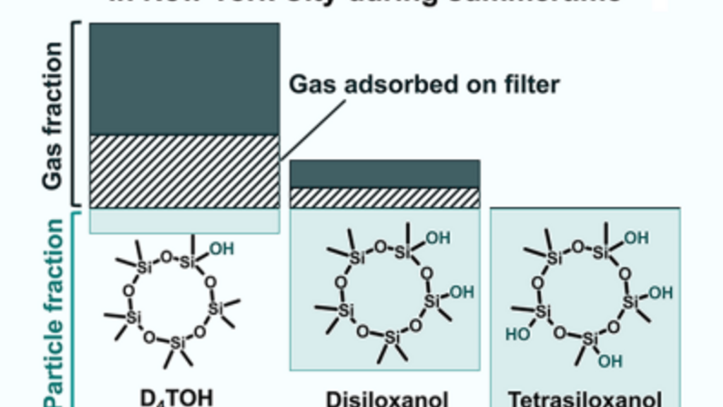 Siloxanol partitioning in New York City, summer 2022